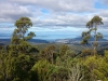 Mt Wellington views