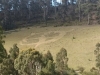 HellFire logo mowed into the hill