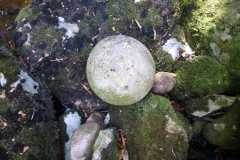 Blue Tier - Wyniford River