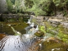 Wyniford River Wier