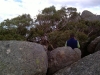 Mt Freycinet