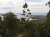 Flagstaff Lookout