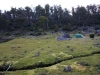 maincampsite