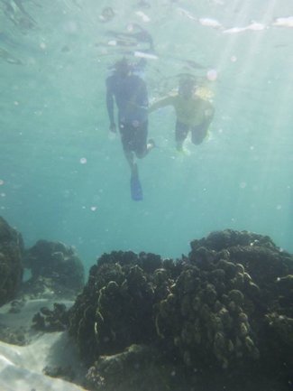 1186080 521651664578966 2006944449 n