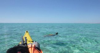 1233549 521651987912267 1976074357 n