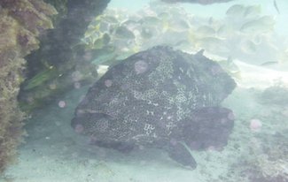 1233555 521651784578954 792562809 n