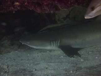 1235058 521651884578944 1131198728 n