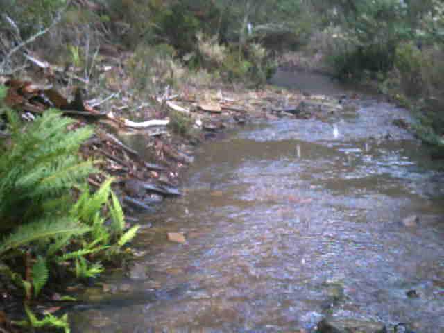 PICT0018.AVI snapshot 02.18 [2013.11.23 19.27