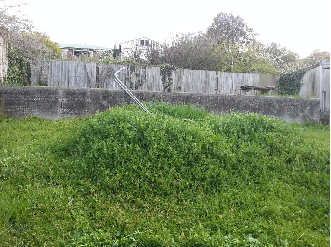 20140927_172901_1066_800