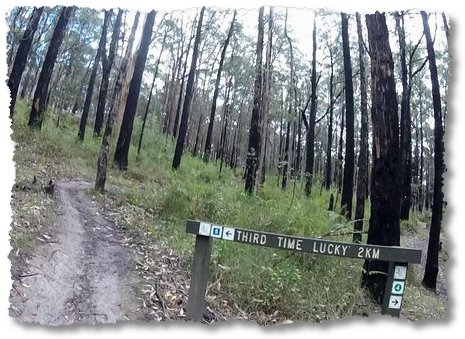 GOPR5490.MP4 snapshot 00.37 [2014.10.01 18.51